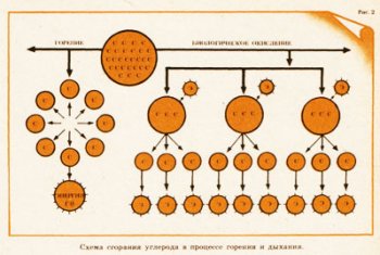 Нужна ли на ферме котельная? 1